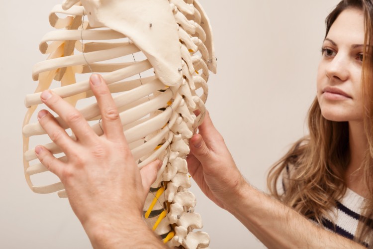 What is Chiropractic?